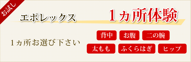 お試し１ヶ所体験